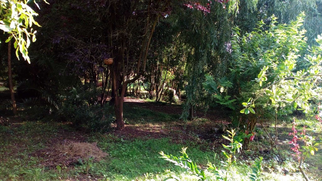 Photo of Outdoor in Arnuero