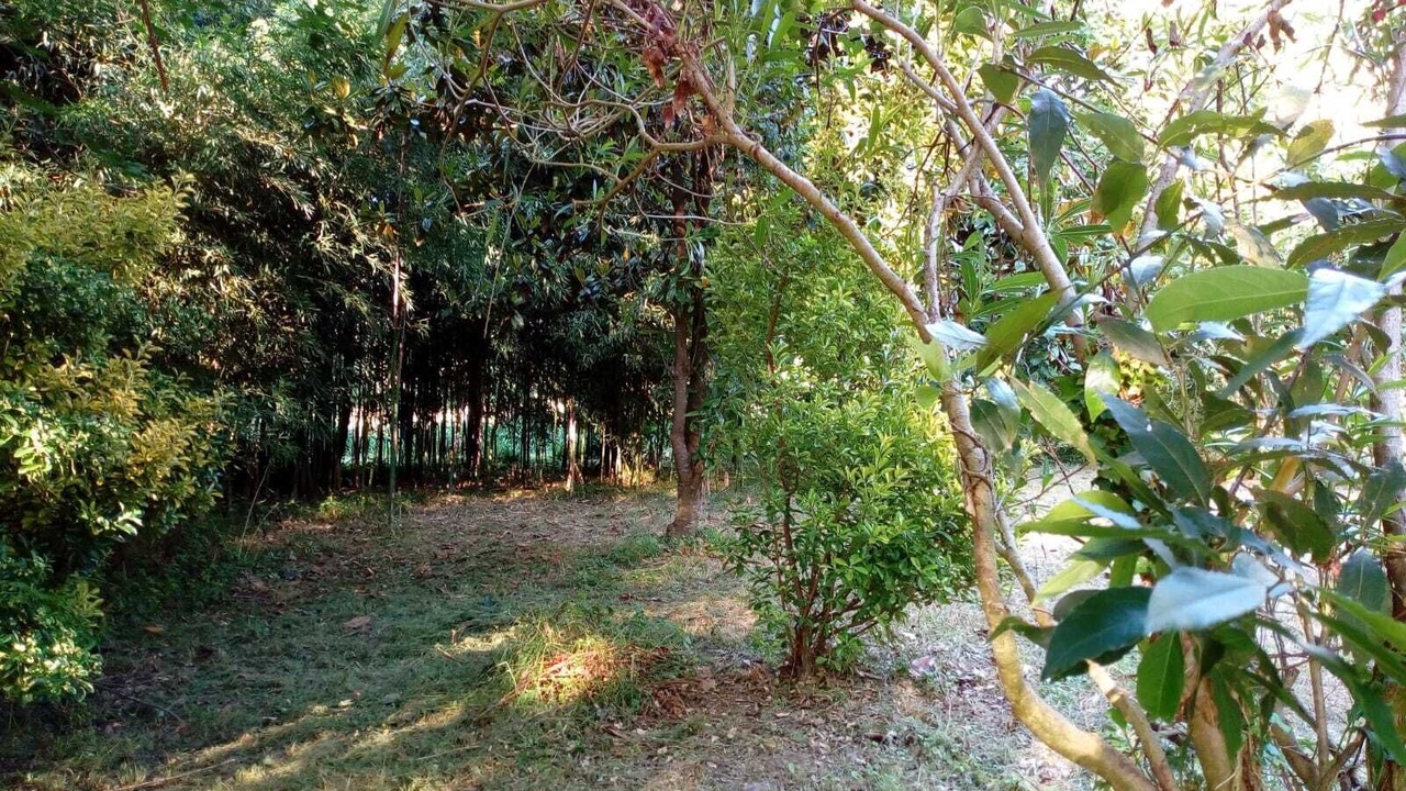 Photo of Outdoor in Arnuero