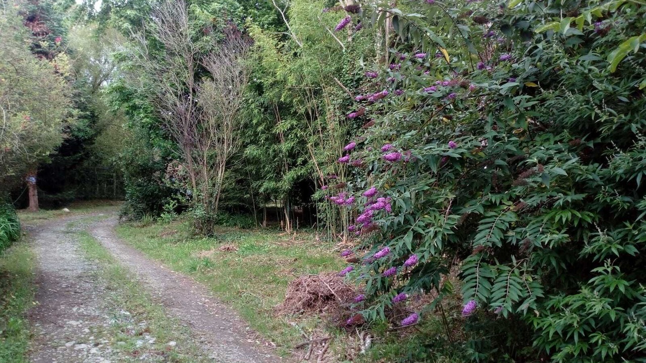 Photo of Outdoor in Arnuero