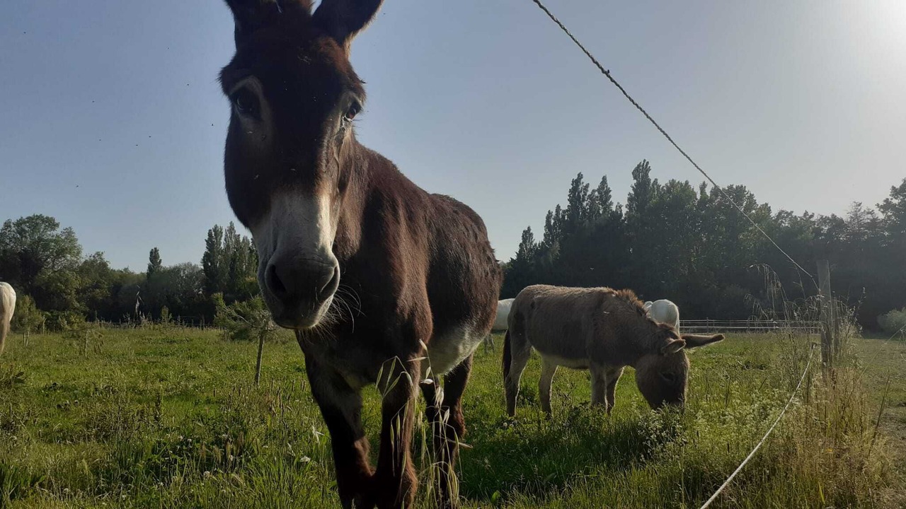Photo of Others in Eygalieres