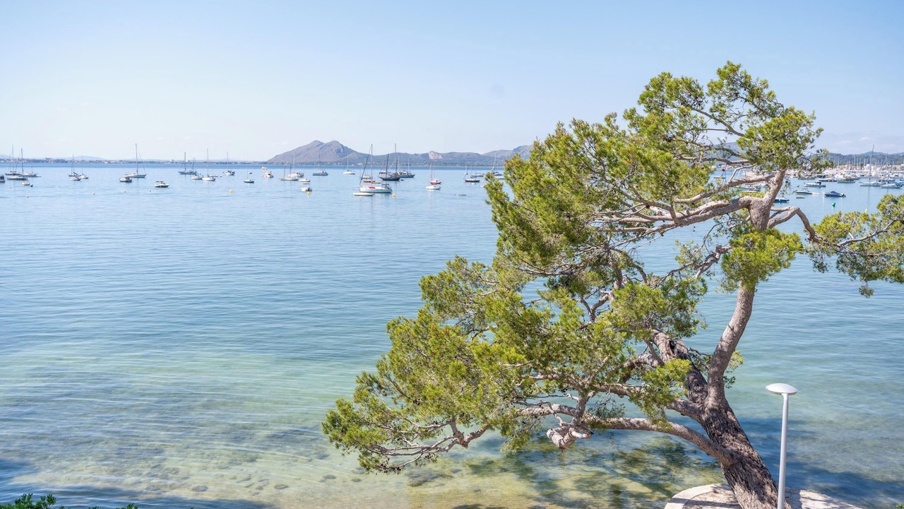 Photo of Others in Puerto de Pollensa