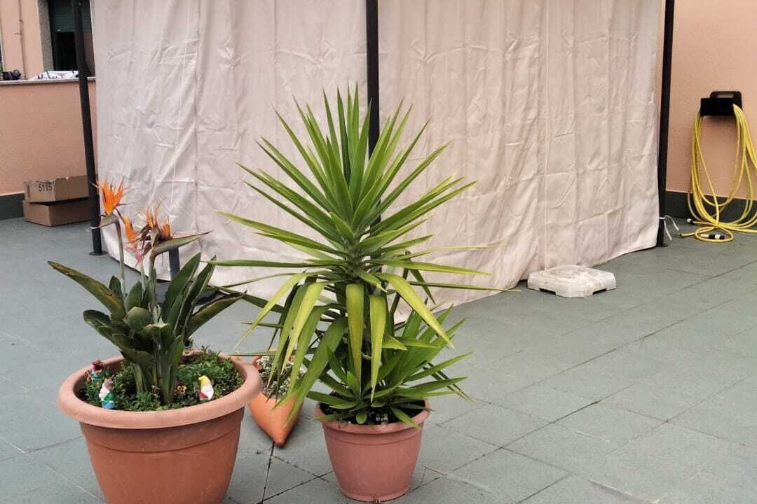 Photo of Outdoor in Combarro