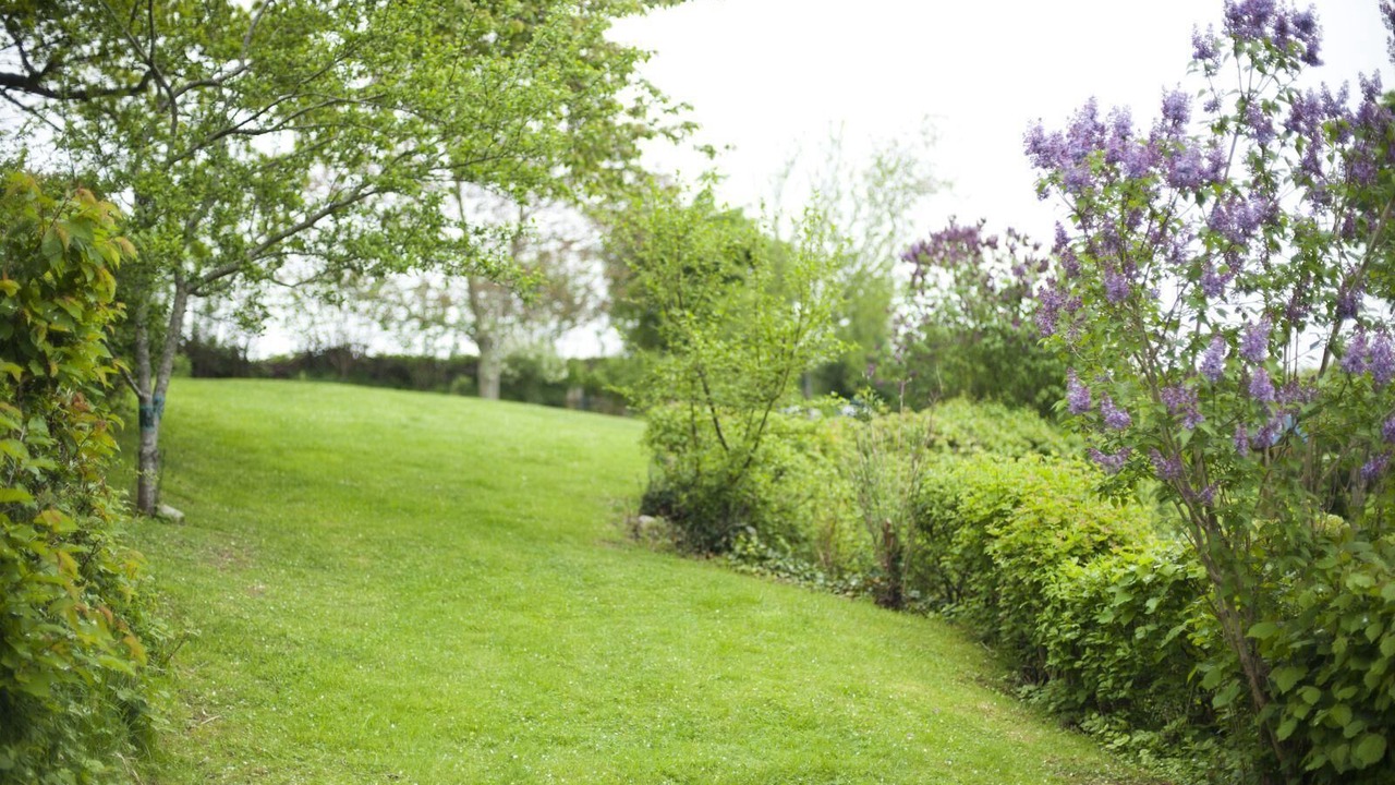 Photo of Outdoor in Sieseby