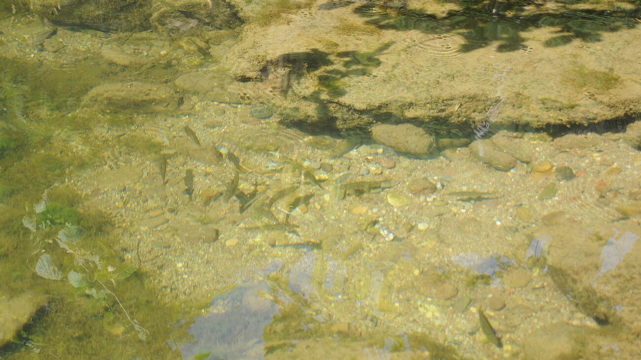 Photo of Outdoor in Mounes-Prohencoux