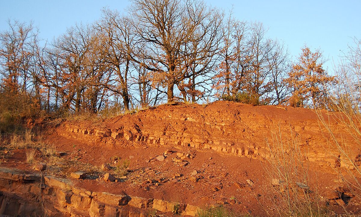Photo of Outdoor in Mounes-Prohencoux
