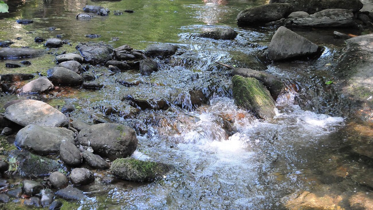 Photo of Outdoor in Mounes-Prohencoux