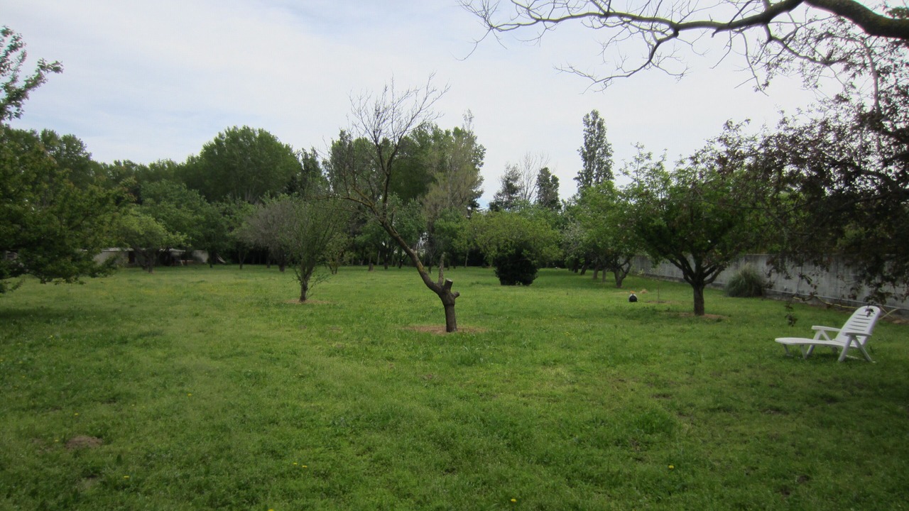 Photo of Outdoor in Saint-Cyprien