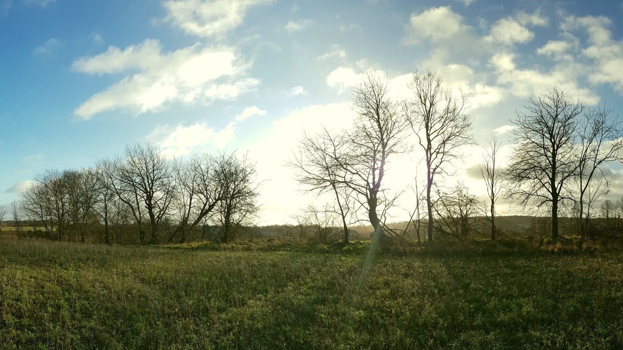 Photo of Outdoor in Oberhavel