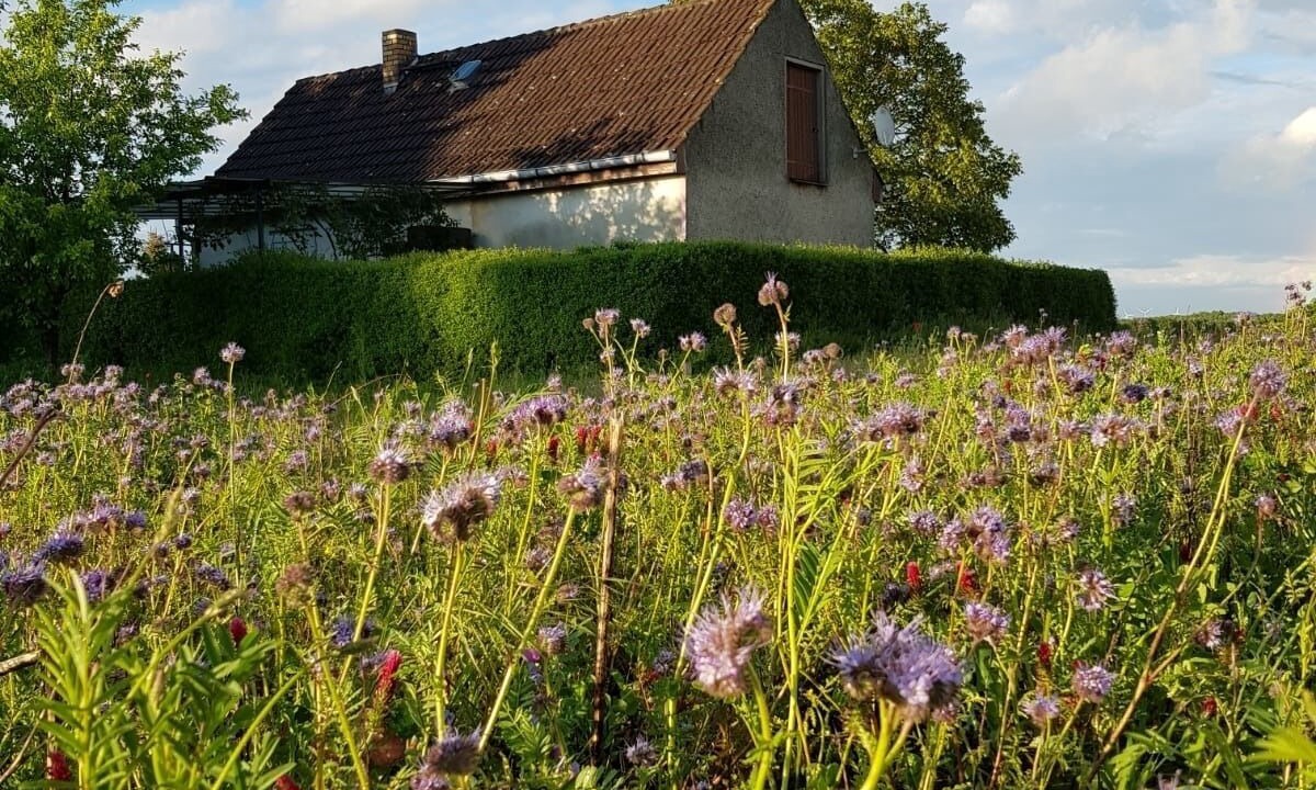 Photo of Outdoor in Oberhavel