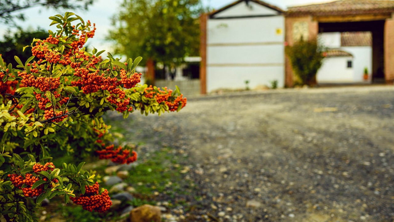 Photo of Outdoor in Recas