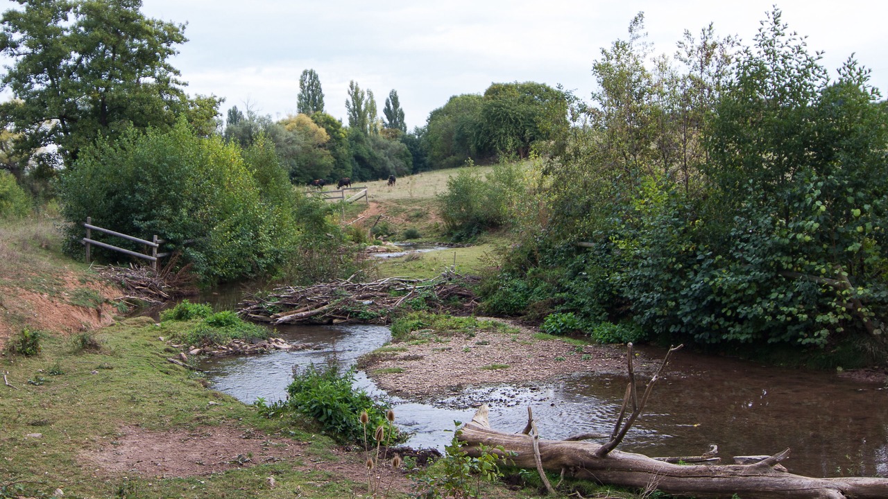 Photo of Outdoor in Albisheim
