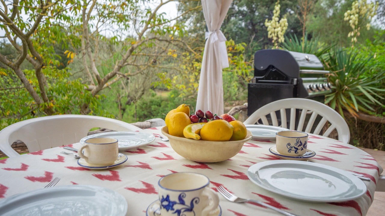 Photo of Outdoor in Campanet