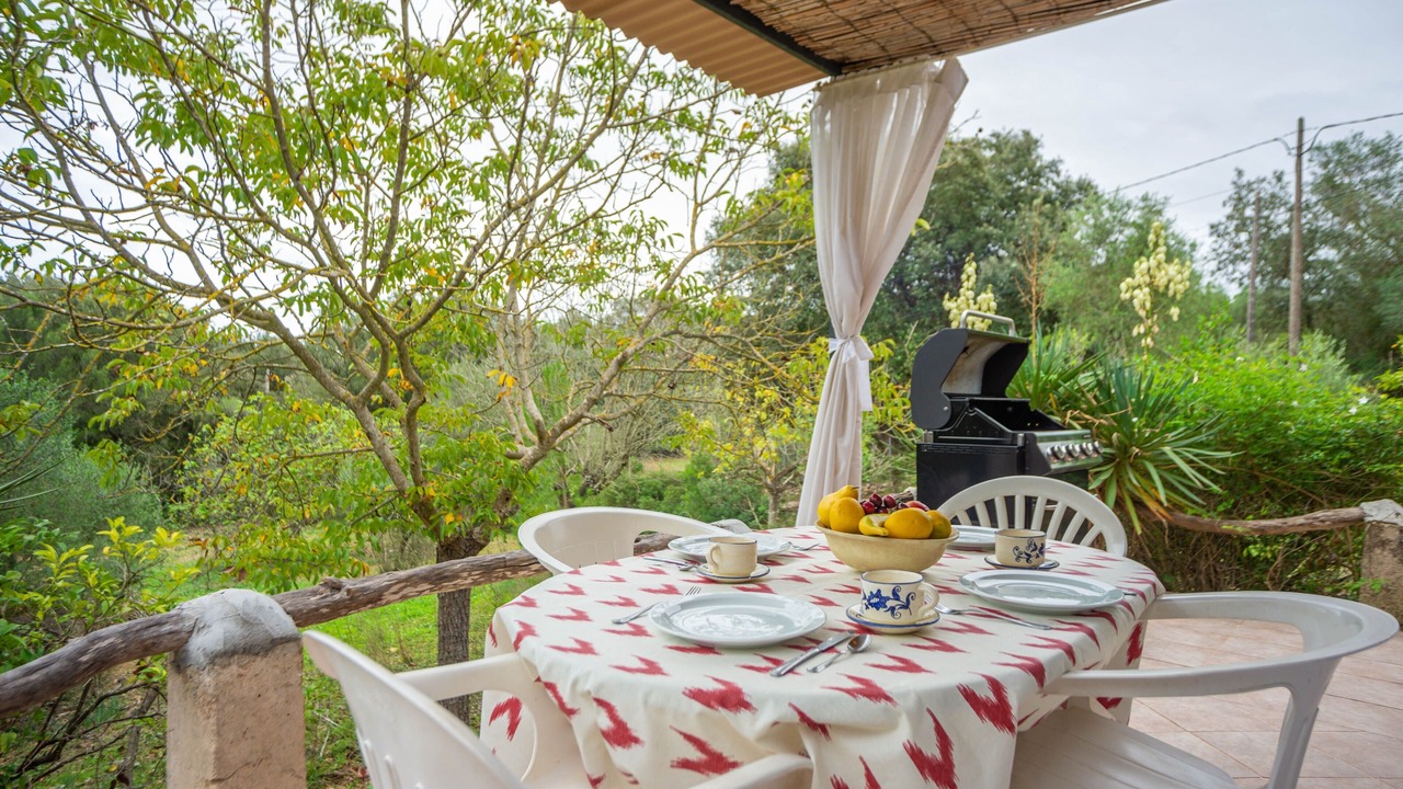 Photo of Outdoor in Campanet