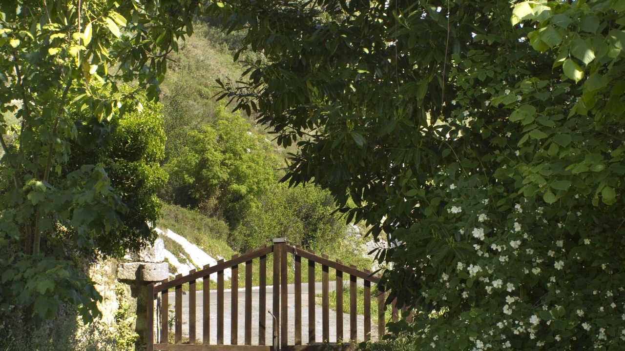 Photo of Outdoor in Ribadedeva