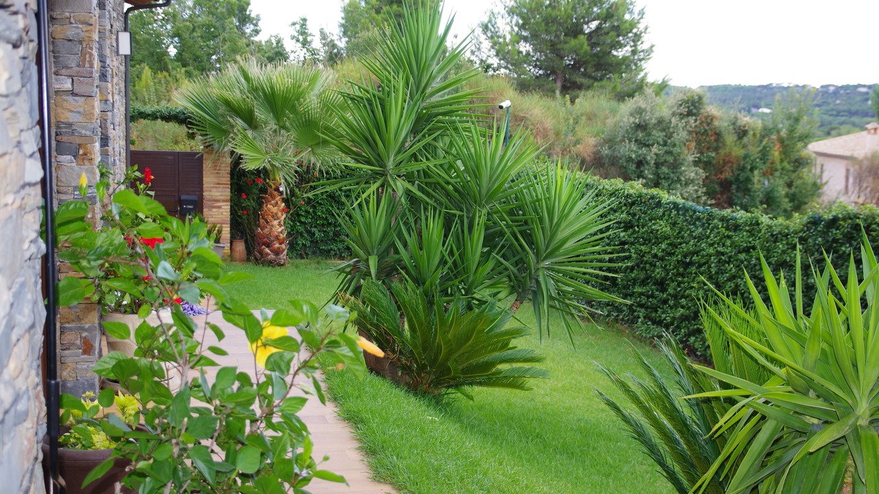 Photo of Outdoor in Santa Cristina de Aro
