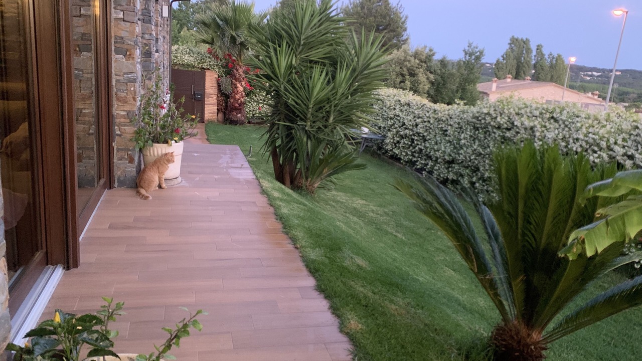 Photo of Outdoor in Santa Cristina de Aro