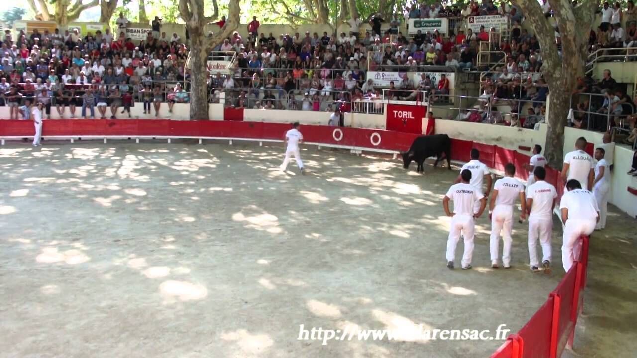 Photo of Others in Sommieres