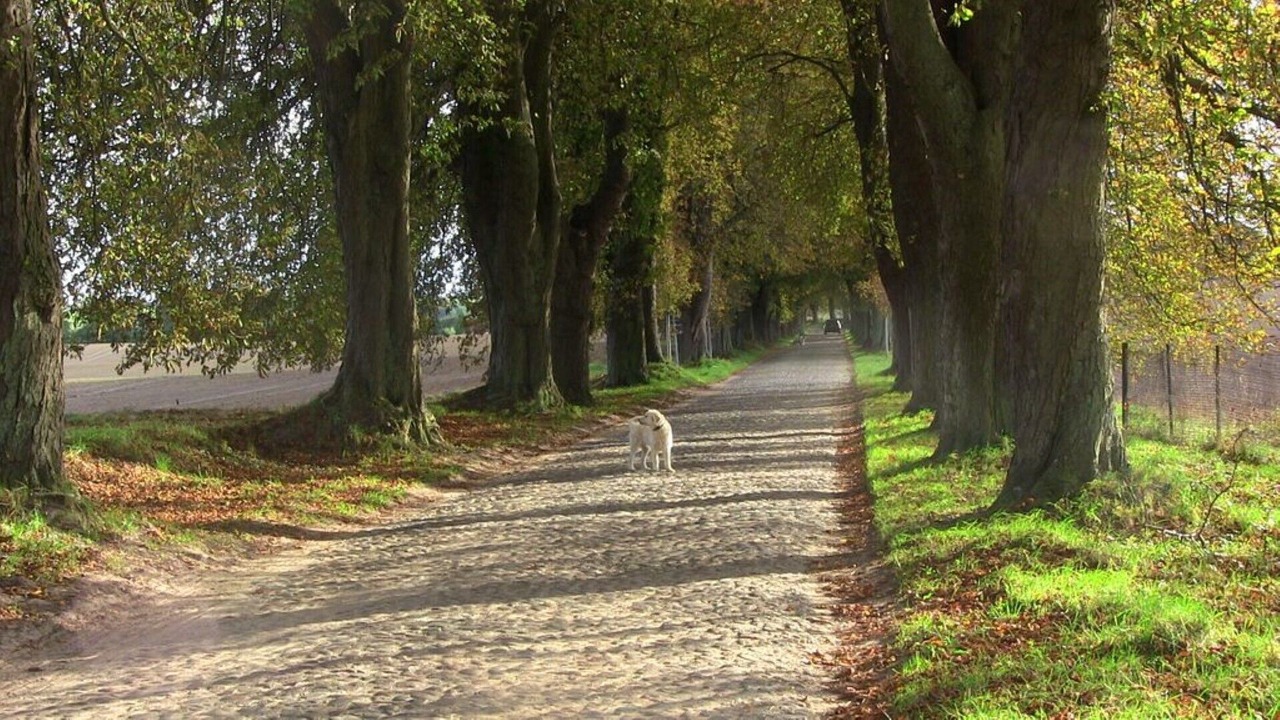 Photo of Outdoor in Lancken-Granitz
