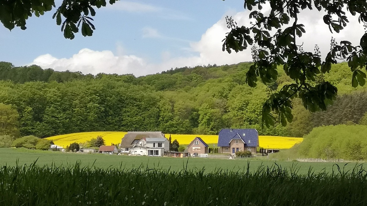 Photo of Others in Lancken-Granitz