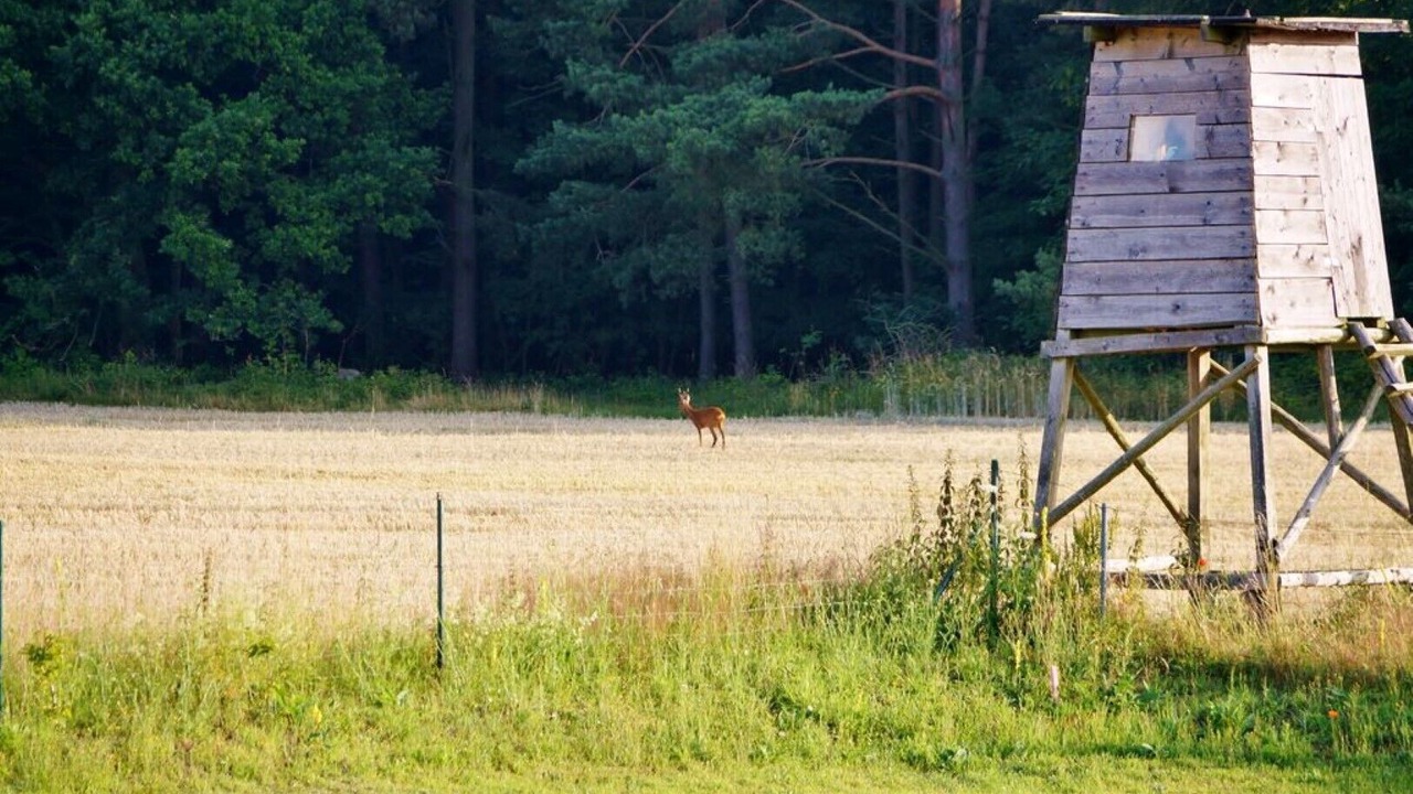 Photo of Outdoor in Lancken-Granitz