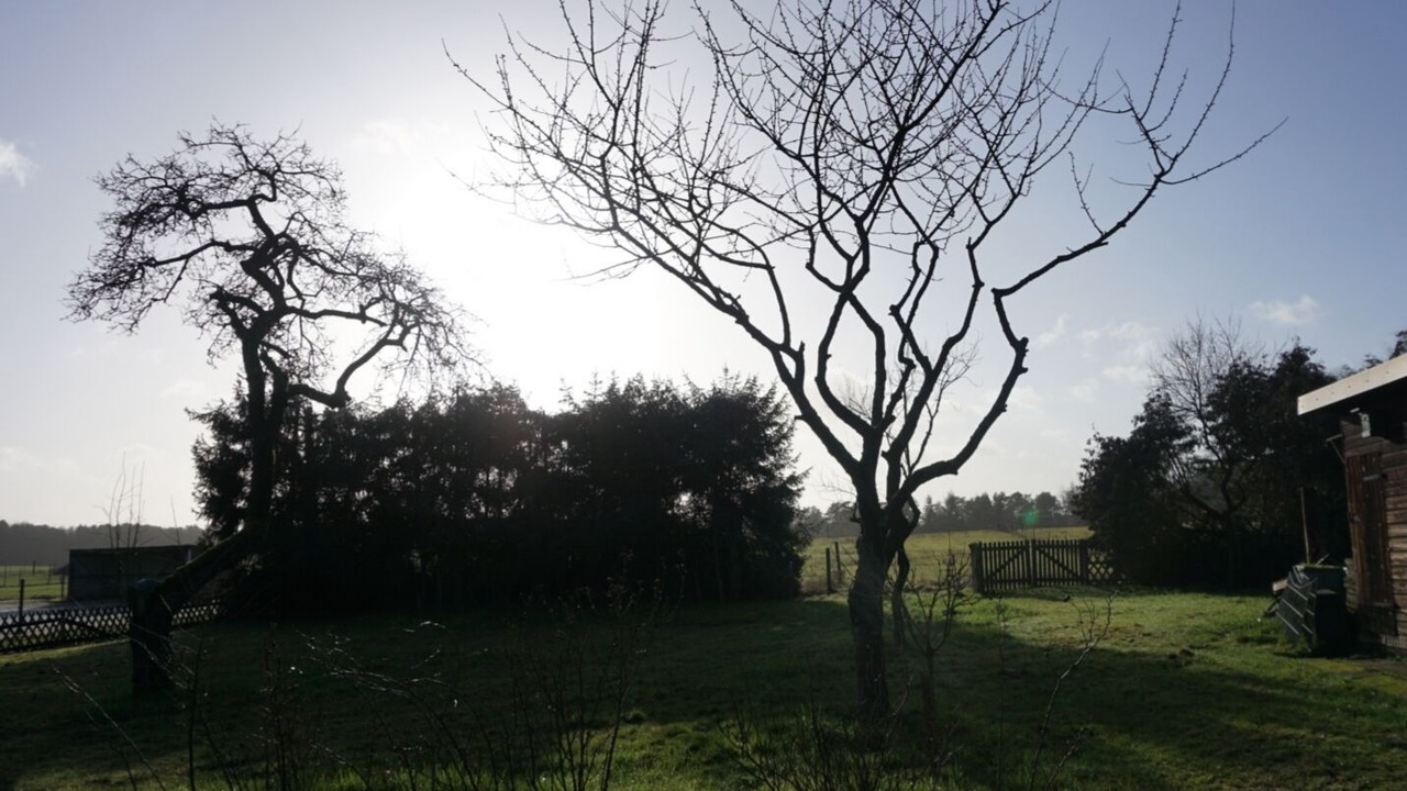 Photo of Outdoor in Buchholz in der Nordheide