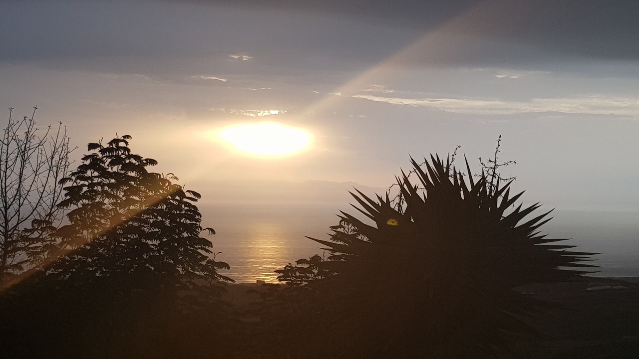 Photo of Outdoor in Arico