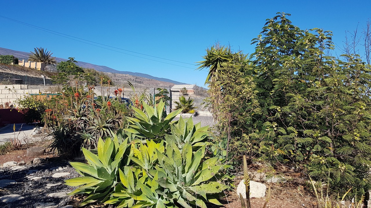 Photo of Outdoor in Arico