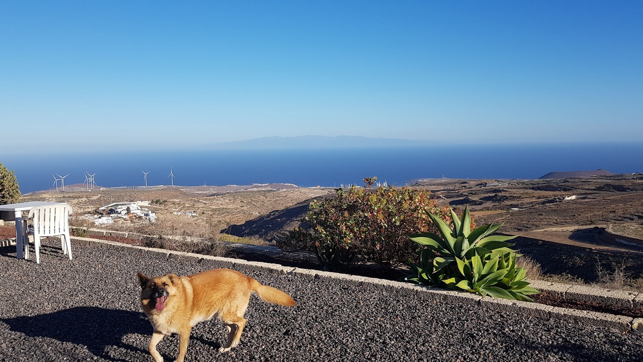 Photo of Outdoor in Arico