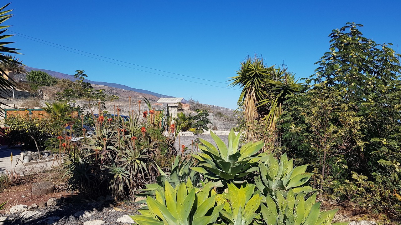 Photo of Outdoor in Arico