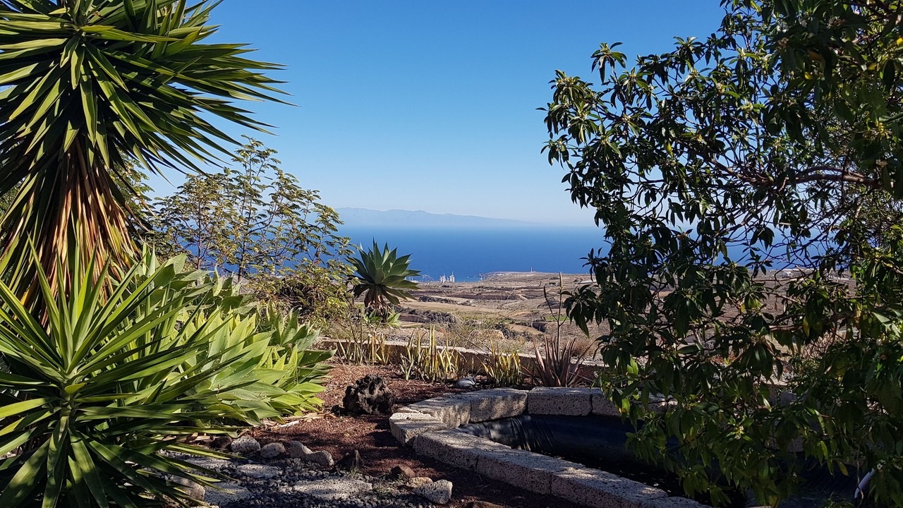 Photo of Outdoor in Arico