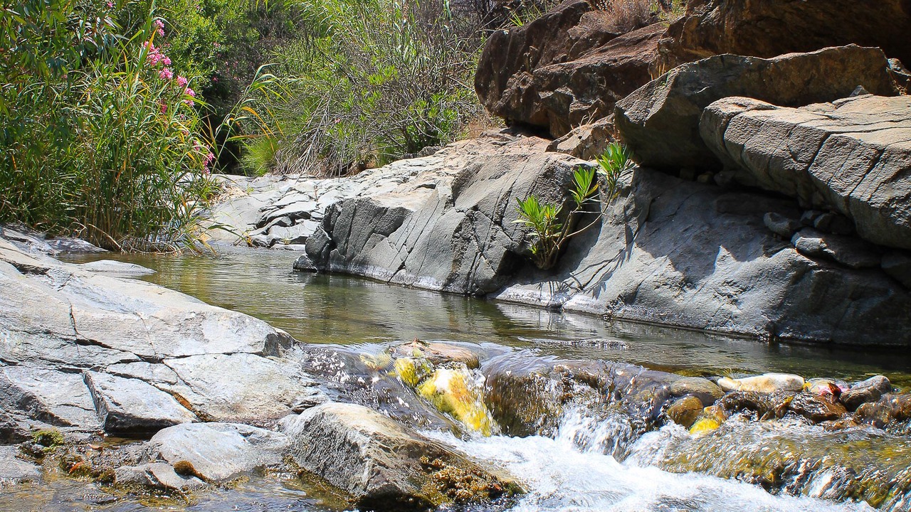 Photo of Outdoor in Coin