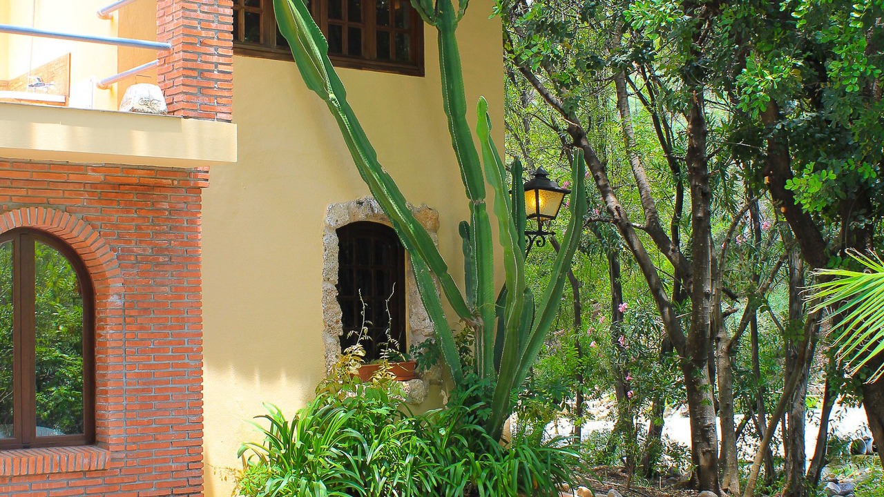 Photo of Outdoor in Coin