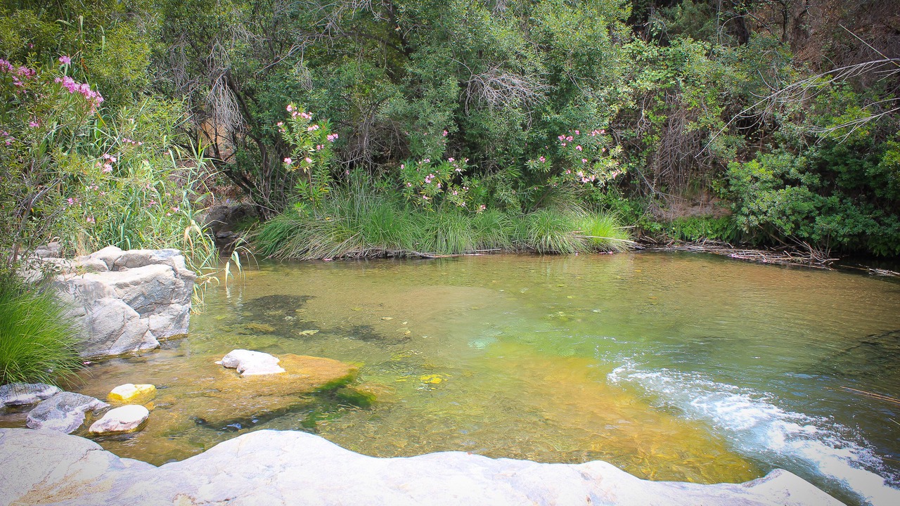 Photo of Outdoor in Coin