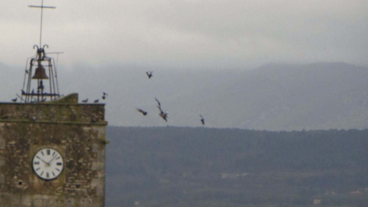 Photo of Others in Goult