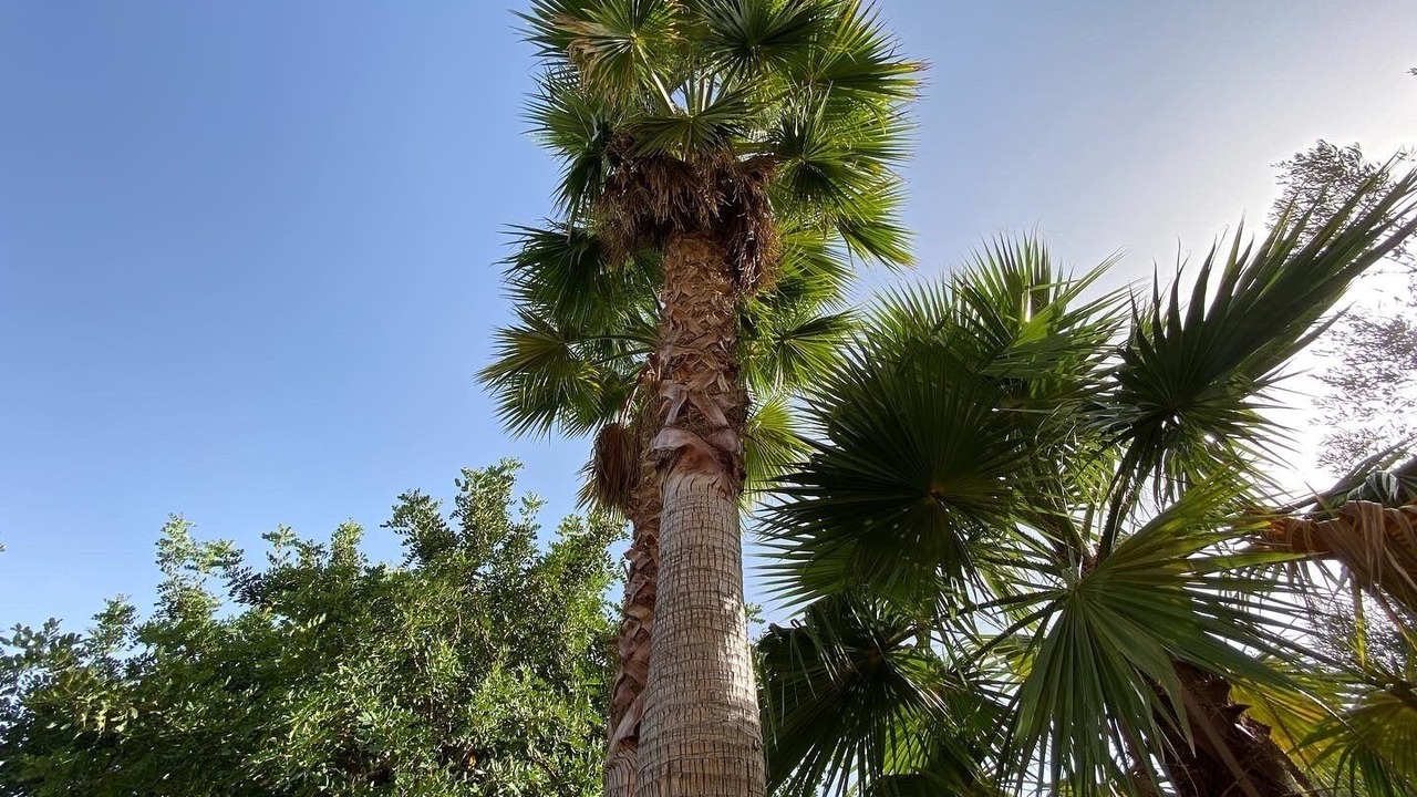 Photo of Outdoor in Sa Coma