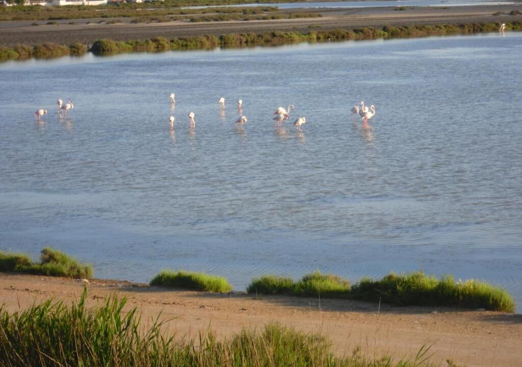 Photo of Others in Saintes-Maries-de-la-Mer