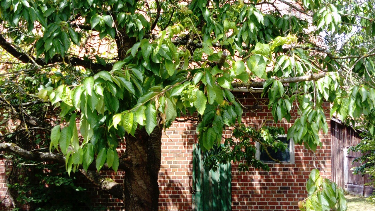 Photo of Outdoor in Dorfmark