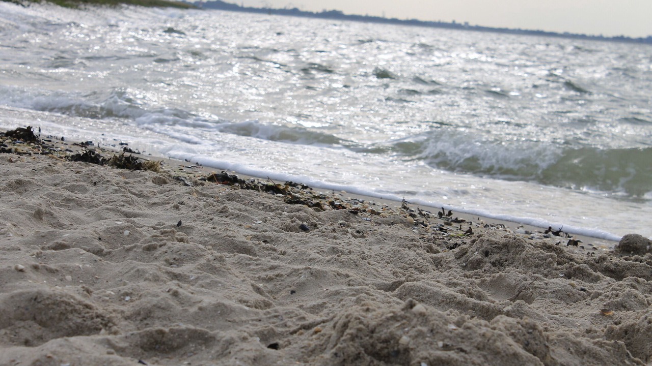 Photo of Others in Großwurden