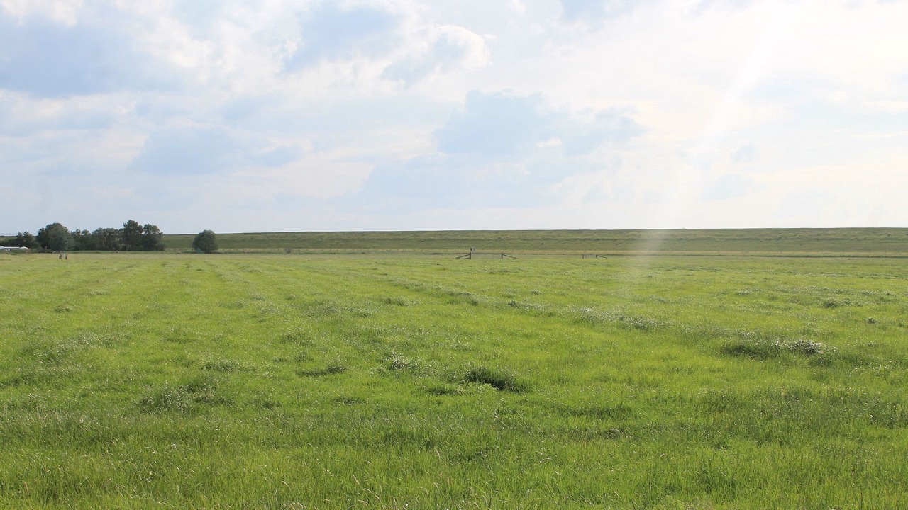 Photo of Others in Großwurden