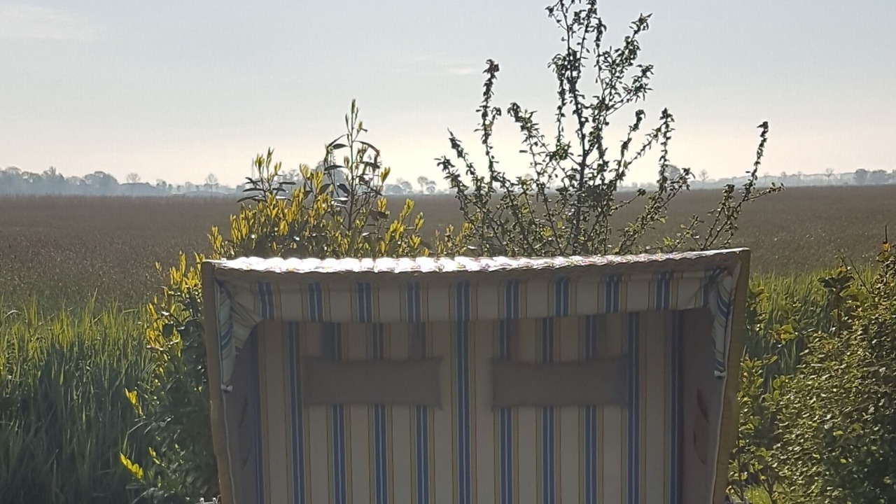 Photo of Outdoor in Großwurden
