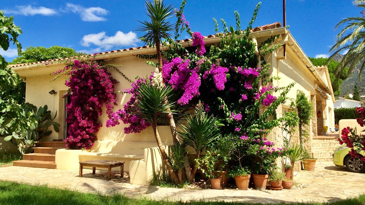 Photo of Outdoor in El Mas Bosca