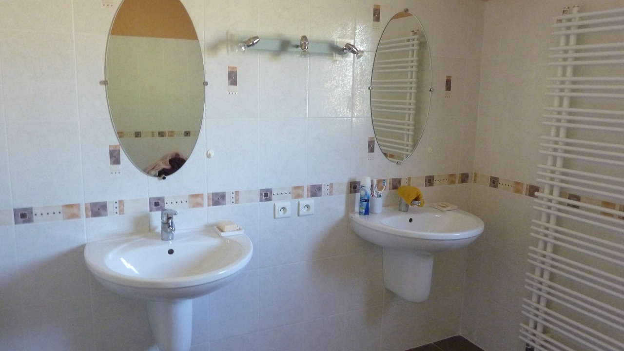 Photo of Bathroom in Sonnay