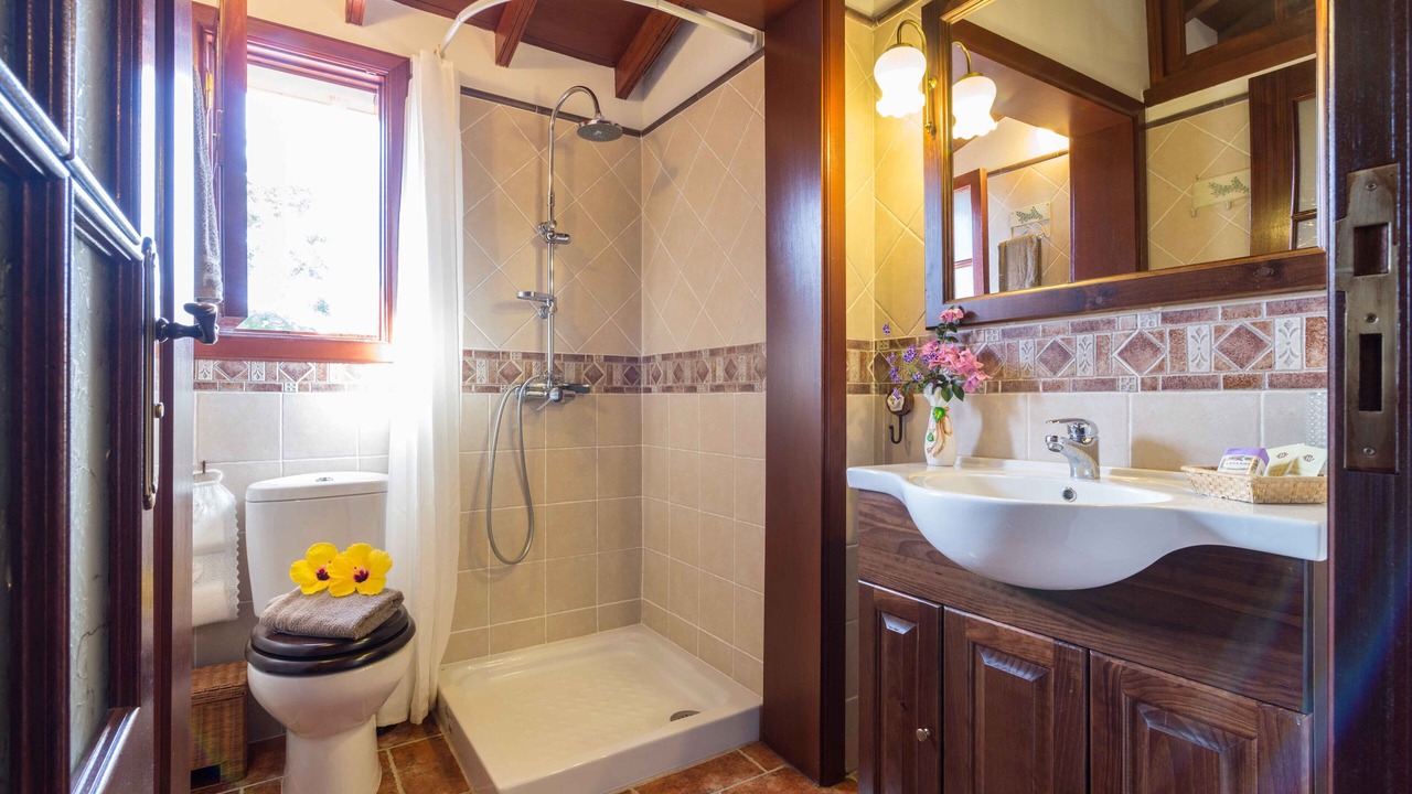 Photo of Bathroom in Tejina
