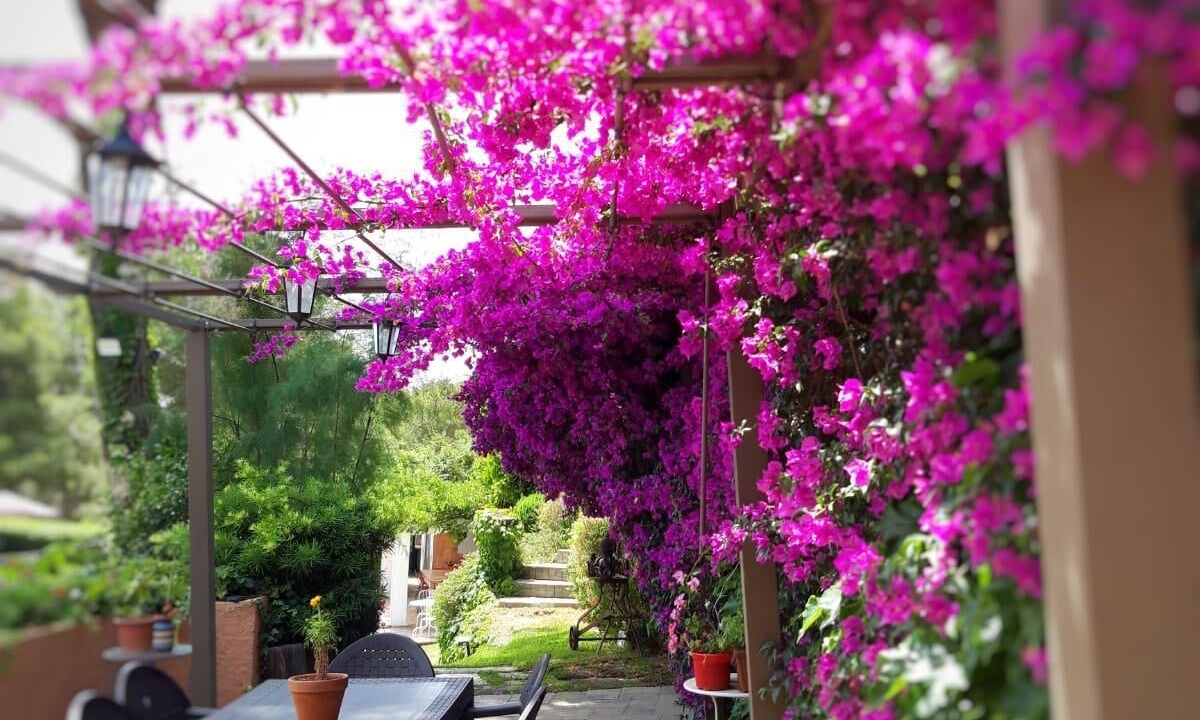 Photo of Outdoor in Cabrils