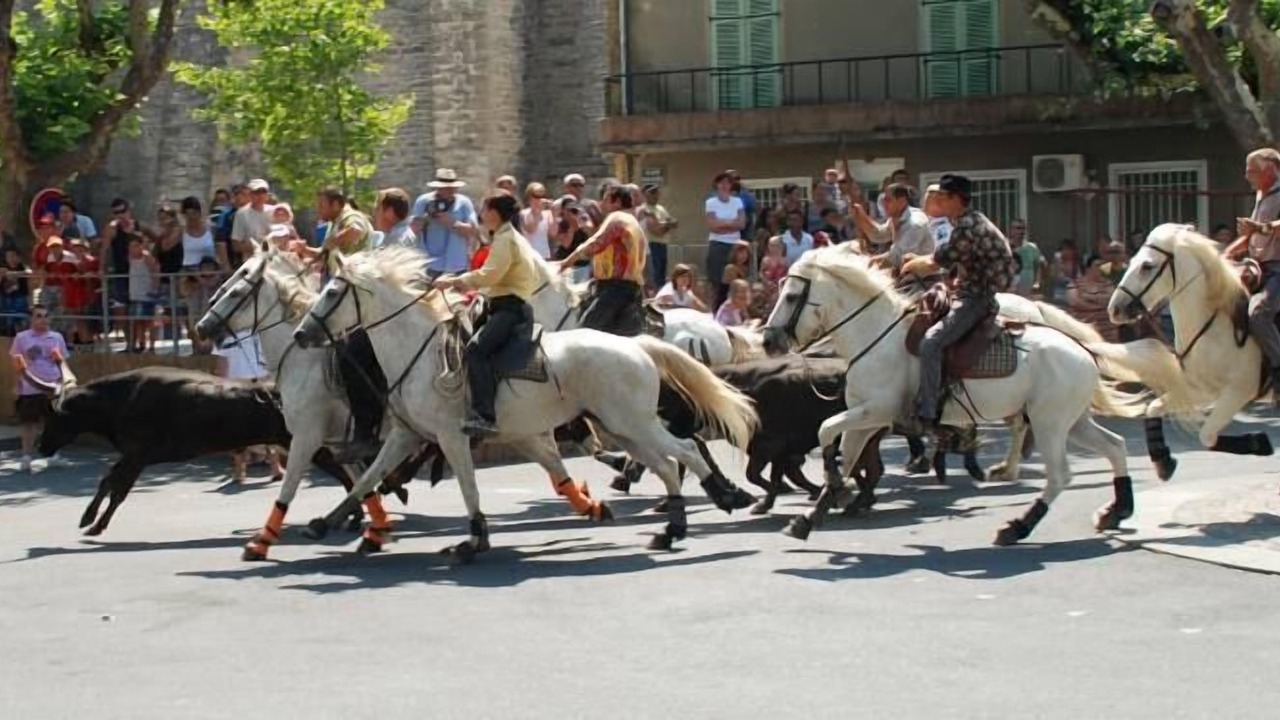 Photo of Others in Cabannes