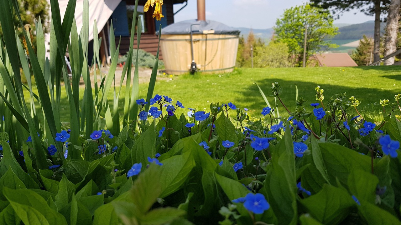 Photo of Outdoor in Ottlar