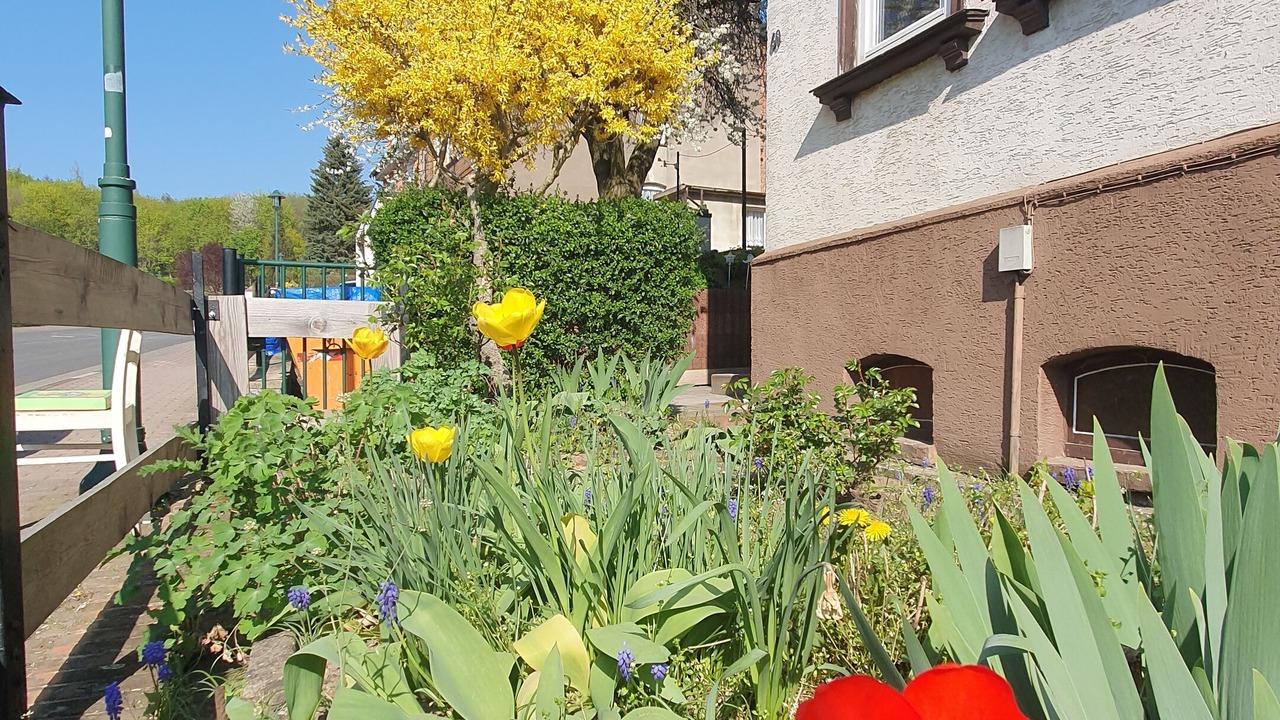 Photo of Outdoor in Eisenach