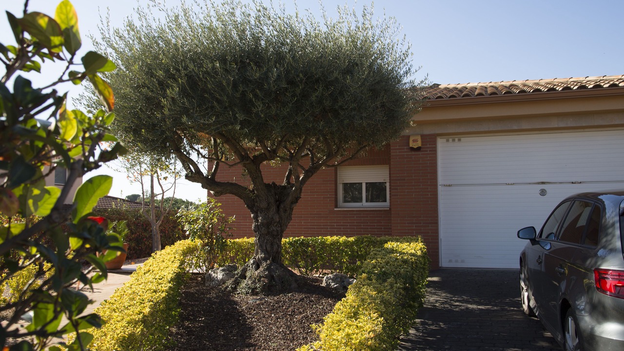 Photo of Outdoor in Bigues I Riells