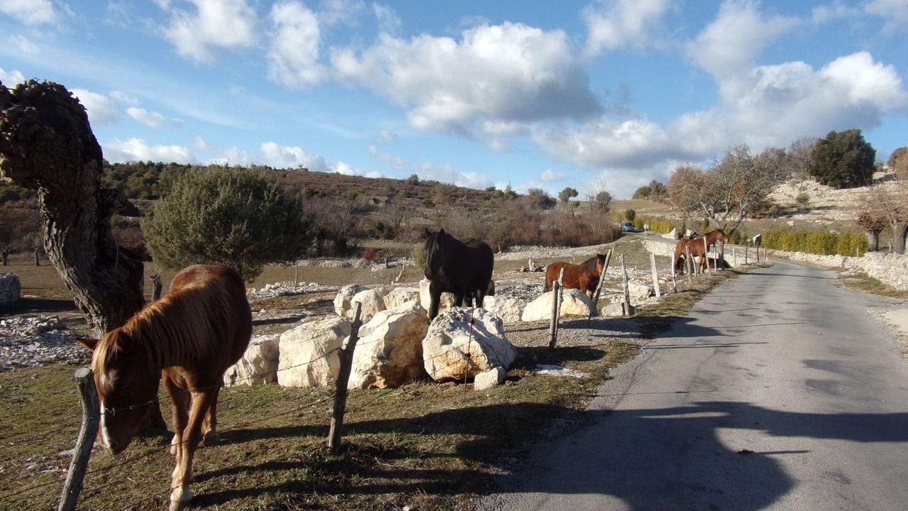 Photo of Outdoor in Joyeuse