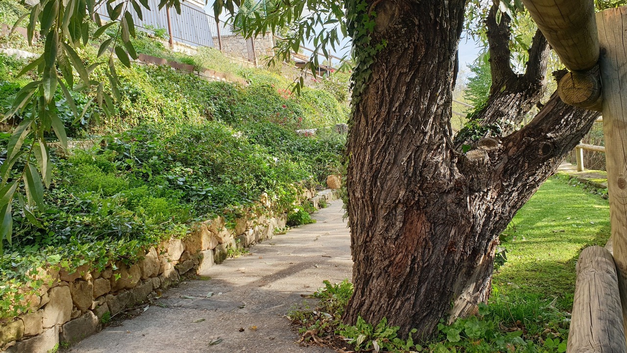 Photo of Outdoor in La Salceda